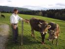 Ruedi, der Braunviehzüchter