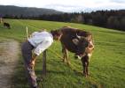 Ruedi, der Braunviehzüchter
